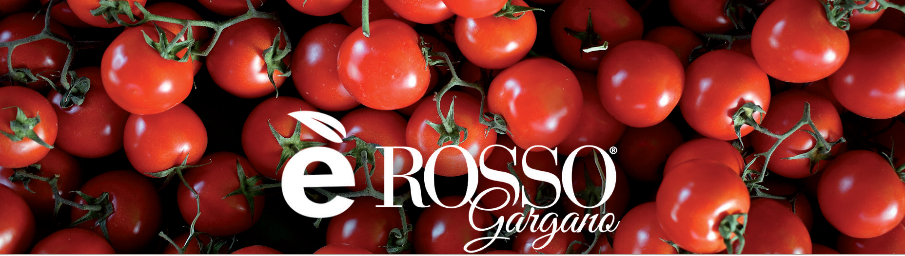 Conserve Alimentari Futuragri S.c.a.p.a.